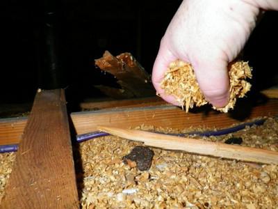 do-it-yourself sawdust insulation