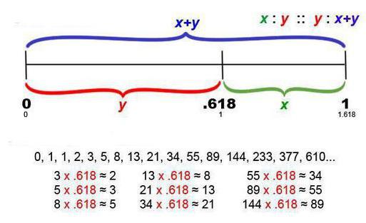 числа фибоначчи и золотое сечение