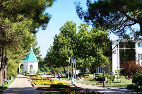 website of the sanatorium blue wave gelendzhik