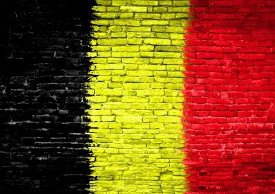 государственный язык бельгии
