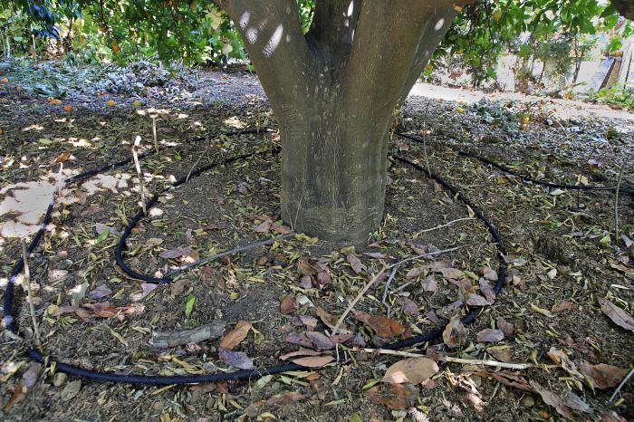 drip irrigation system in the country