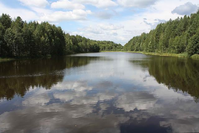 мордовский заповедник им п г смидовича