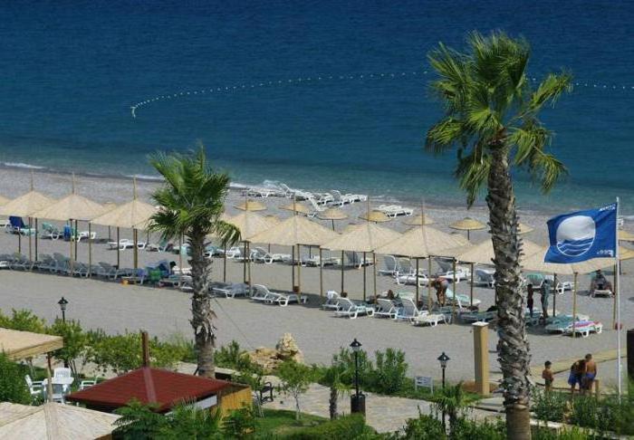 asdem labada beach hotel 5