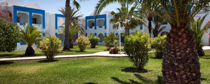 caribbean world cedriana 3 тунис djerba