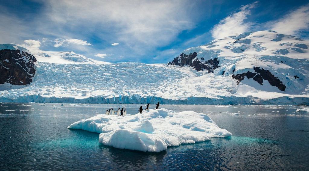 Tour to Antarctica