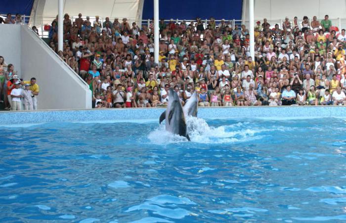 Dolphinarium Nemo Alushta