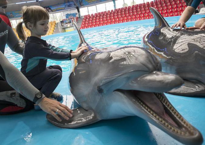 Crimea Alushta Dolphinarium