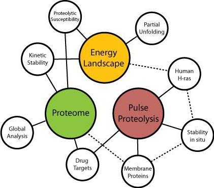 protein energy function examples