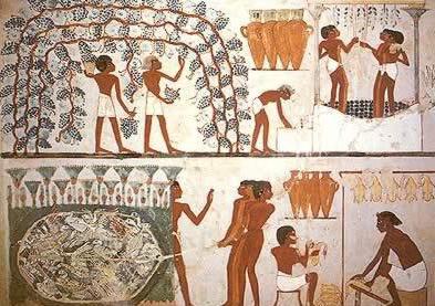 что такое налог в древнем египте 