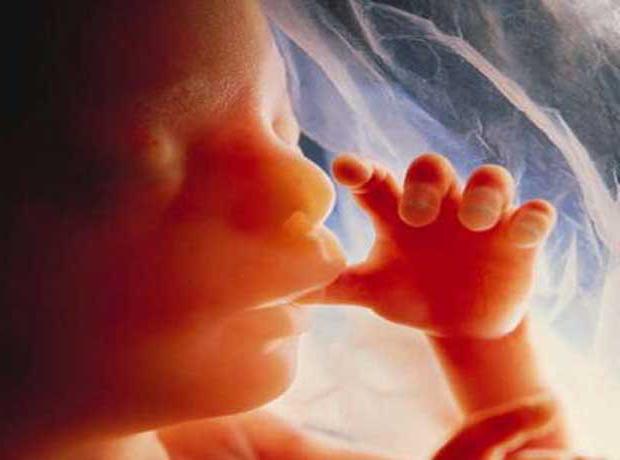 законопроект о запрете абортов в частных клиниках 
