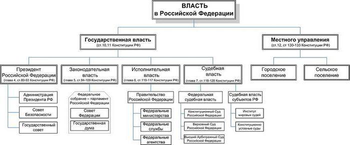 дерево власти в россии 