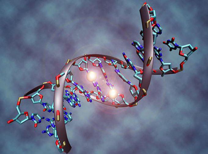 DNA methylation as one of the epigenetic mechanisms