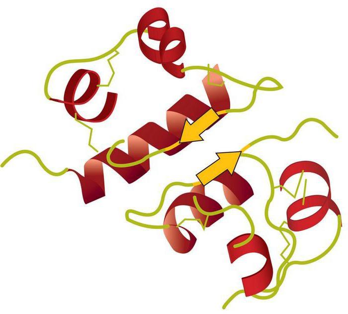 relative specificity of enzymes