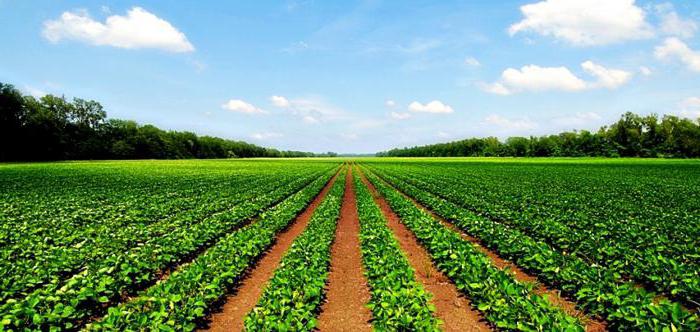 понятие и состав земель сельскохозяйственного назначения 