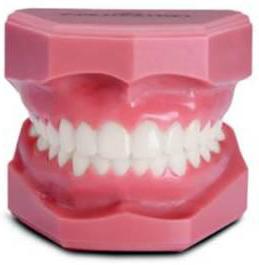 определение центрального соотношения челюстей при полной потере зубов 