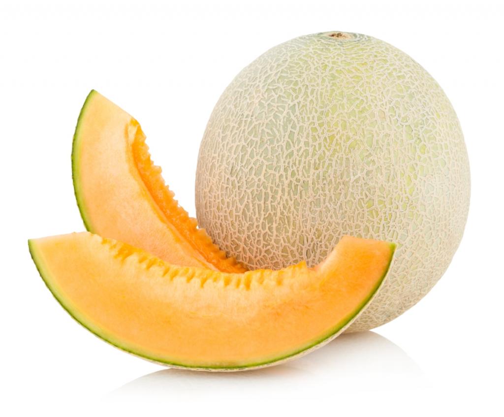 melon is a berry or vegetable