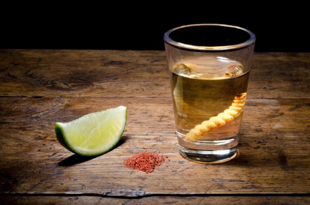 mezcal how to drink