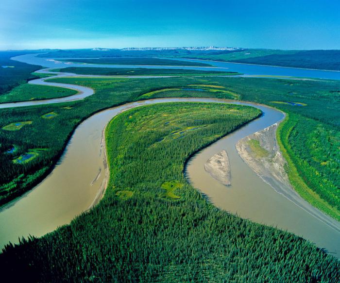 устье реки маккензи