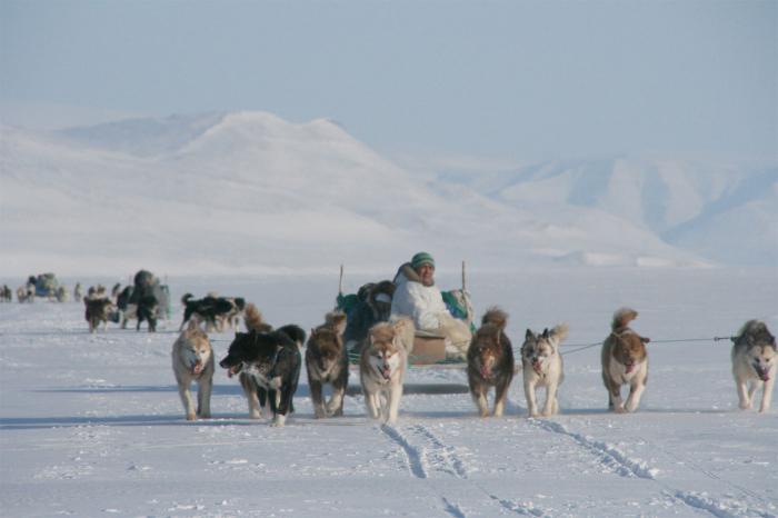 коренные народы Арктики