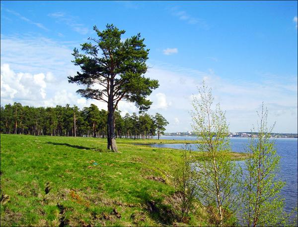 Святое озеро Ивановская область сколько км от Иваново
