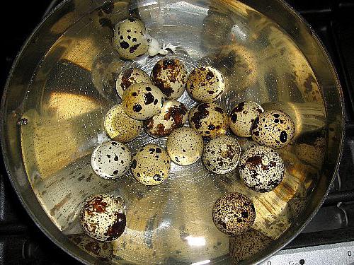 Перепелиные яйца всплыли в холодной воде. Вареные перепелиные яйца. Варка перепелиных яиц. Перепелиные яйца варятся. Перепелиные яйца вкрутую.