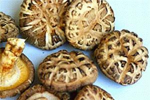 черные китайские грибы