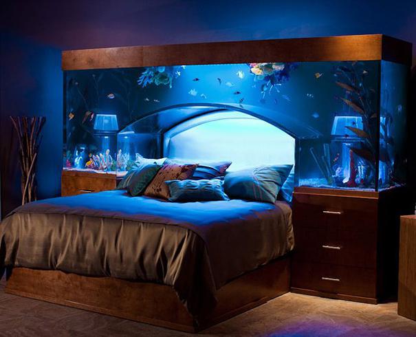 what you need for a beautiful home aquarium