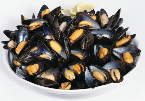 fresh mussels