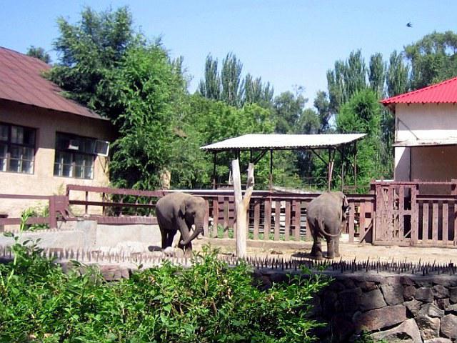 Gorky park in Almaty zoo