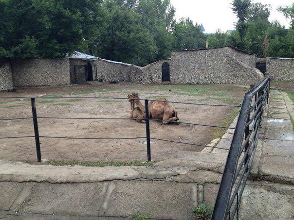 Zoo in Almaty photo