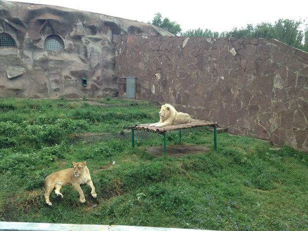 Almaty zoo working hours