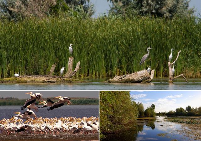 Danube Biosphere Reserve. Ukraine