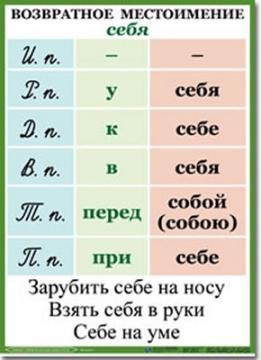 притяжательное местоимение пример 