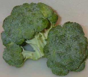 how to freeze broccoli