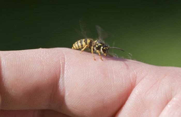 как снять отек от укуса осы