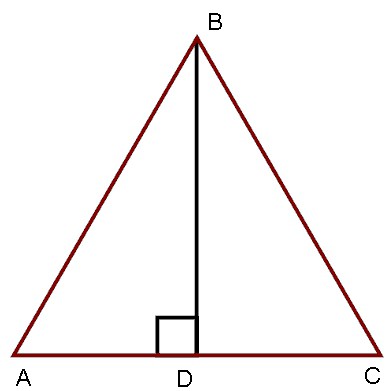 Высота равна половине основания треугольника
