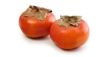 persimmon sharon photo