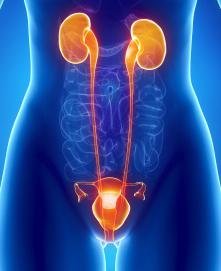 symptoms of bladder inflammation in women and treatment