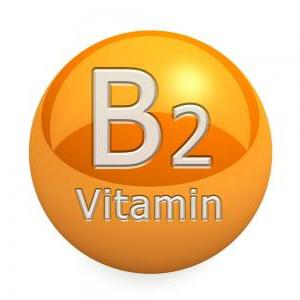 b2 витамин