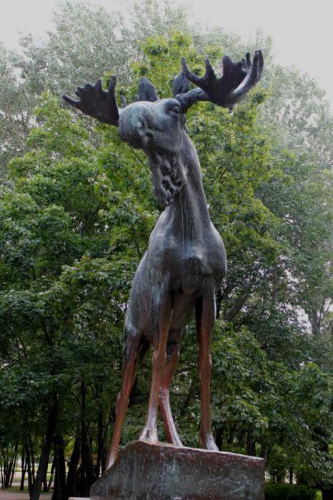 moose sculpture vyborg address