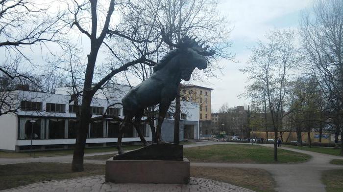 moose sculpture vyborg image of the monument