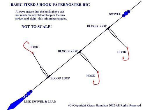 asymmetric loop or paternoster