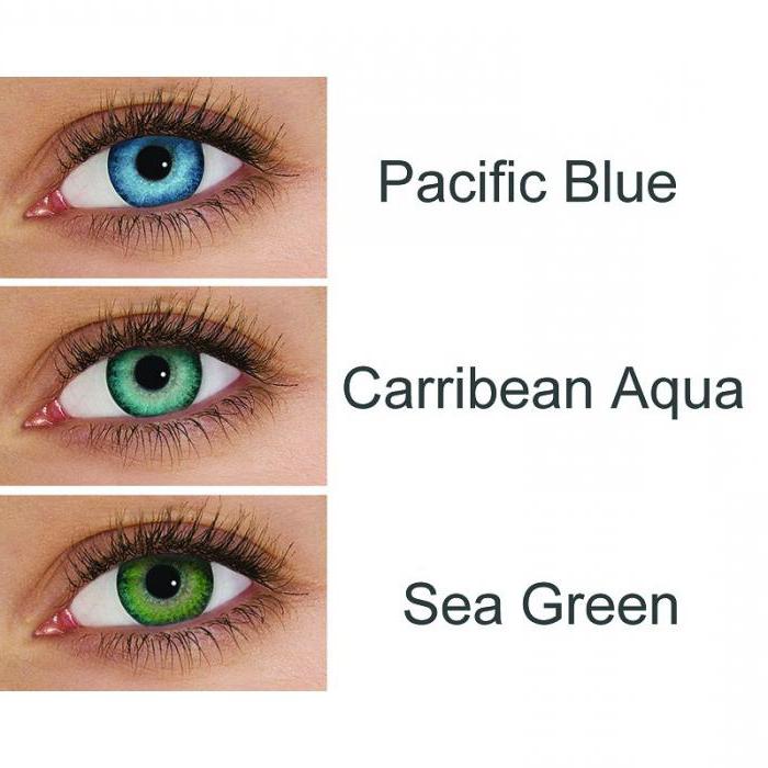 contact lenses freshlook dimensions photo