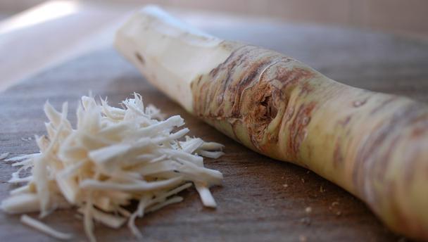 how to store horseradish for the winter