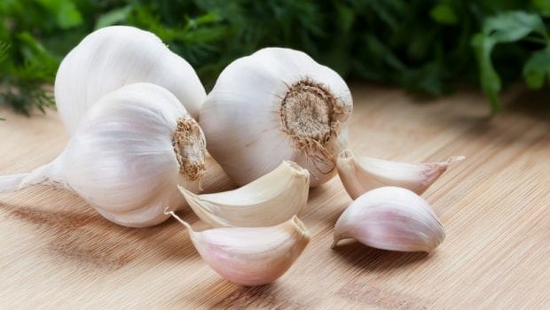 the benefits of garlic