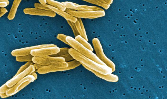 милиарный туберкулез легких