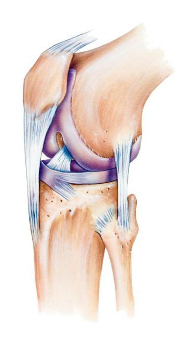 деформирующий остеоартроз коленного сустава