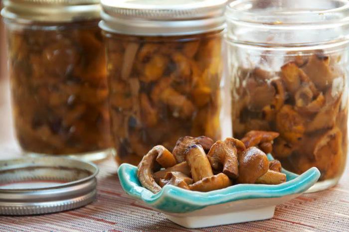 pickled chanterelle mushrooms