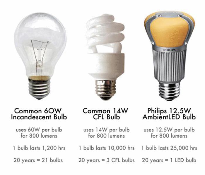 сравнение энергосберегающих ламп и ламп накаливания