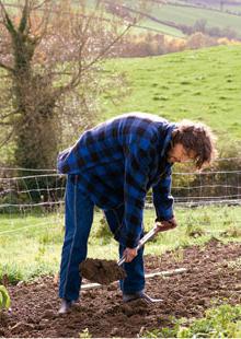 garden treatment in September